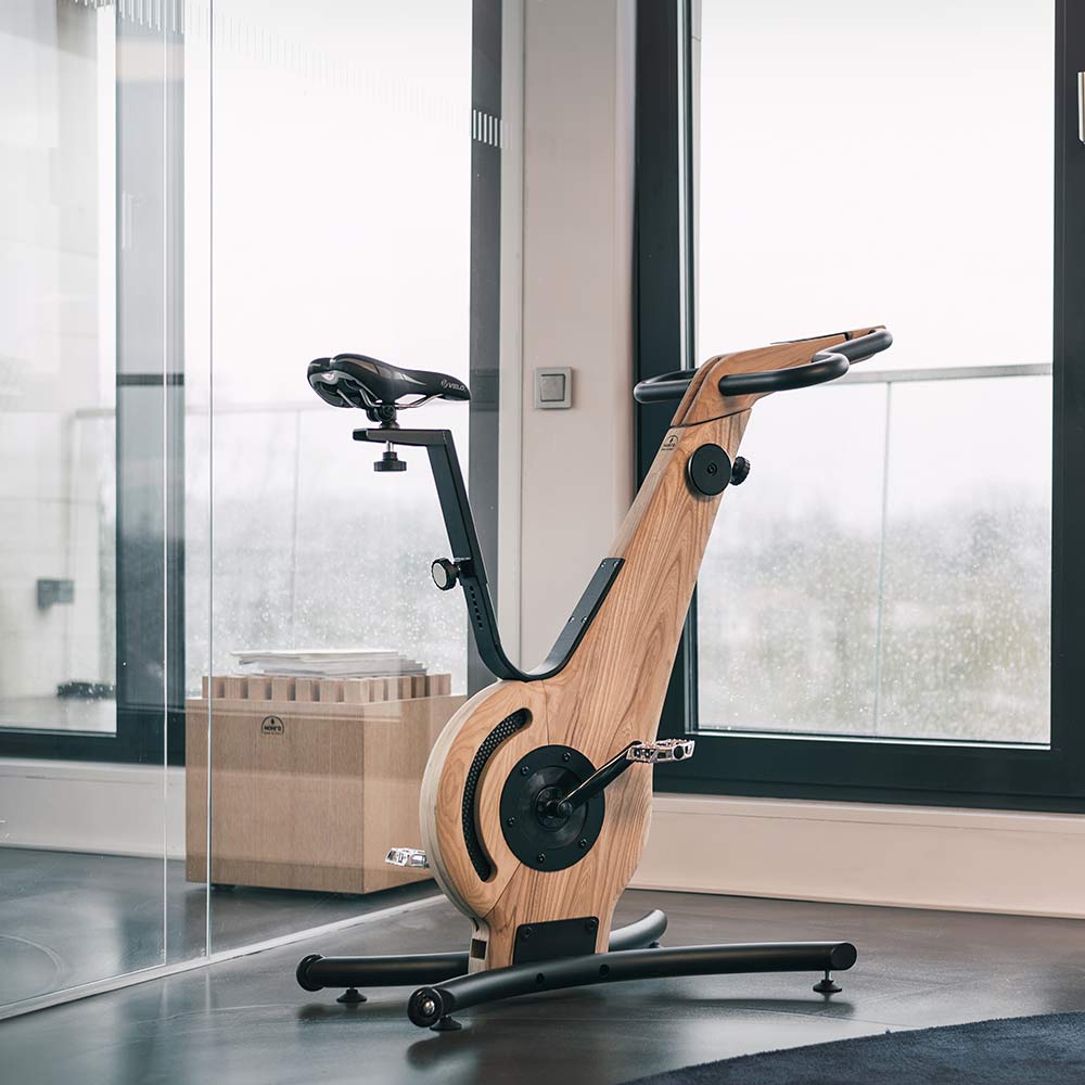 Vélo de Biking Bike Frêne