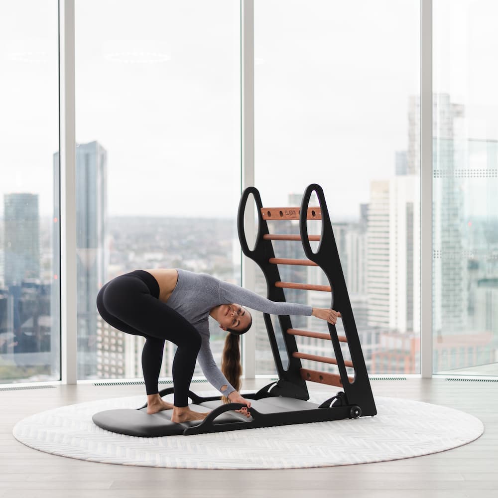 Elasko Chêne - Sellerie Noir