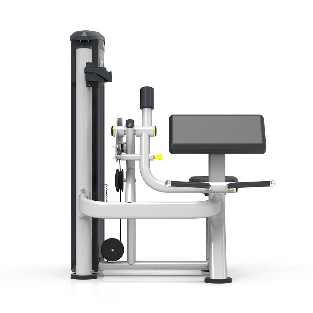 Poste Isolé Poste Biceps