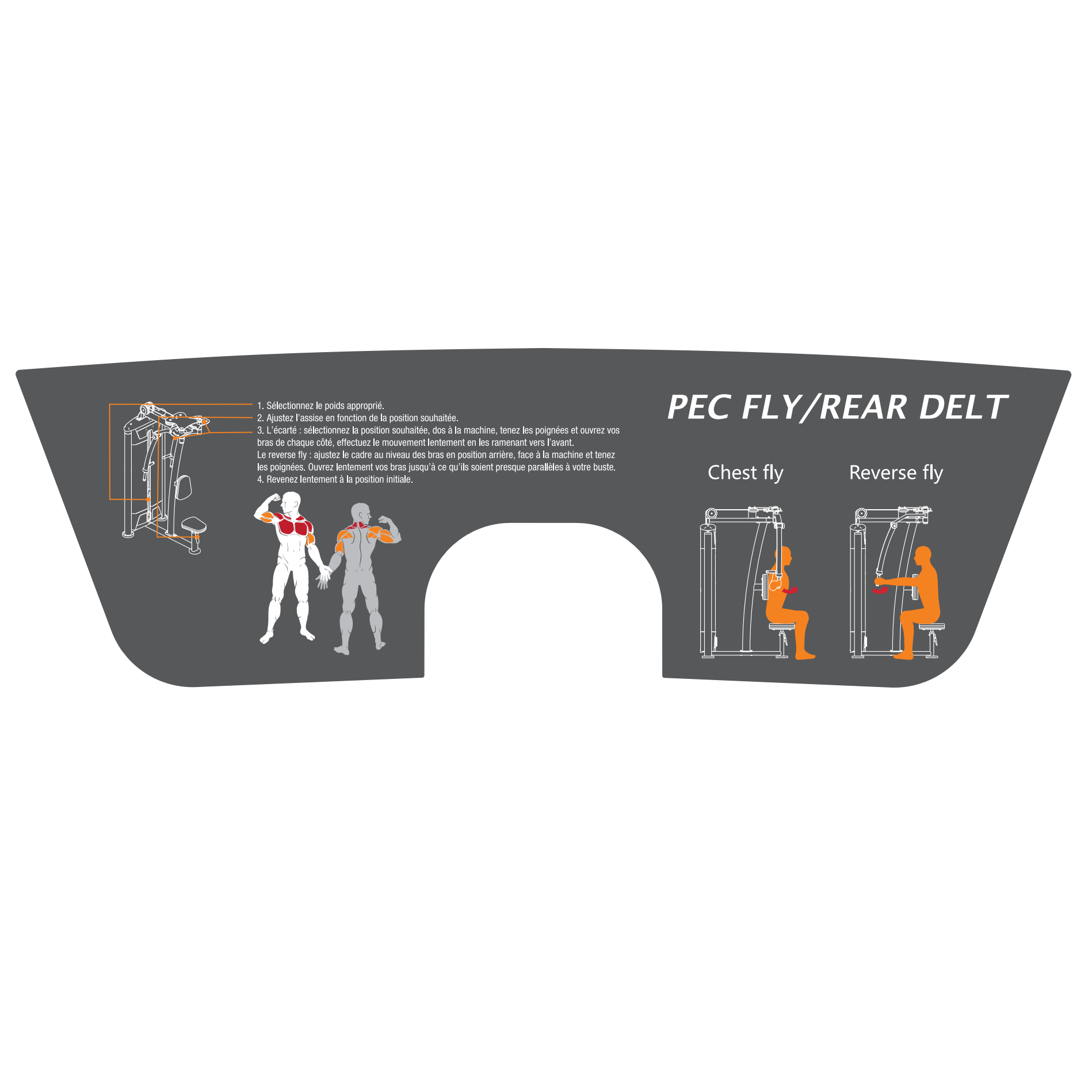 Poste Pectoraux et Deltoïdes